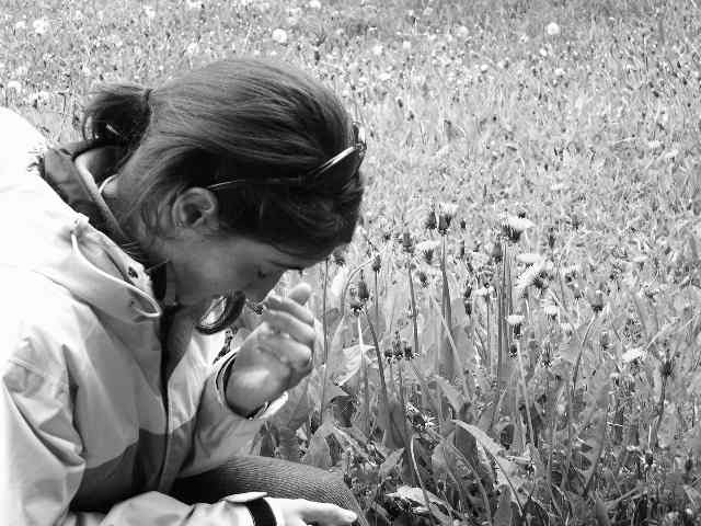 flor-es